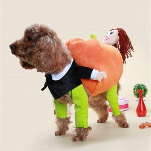 Pumpkin Dog Cosplay